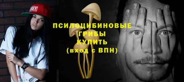 гидра Краснотурьинск