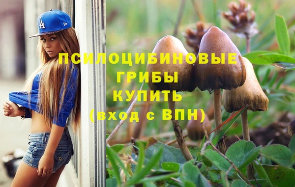 COCAINE Краснослободск
